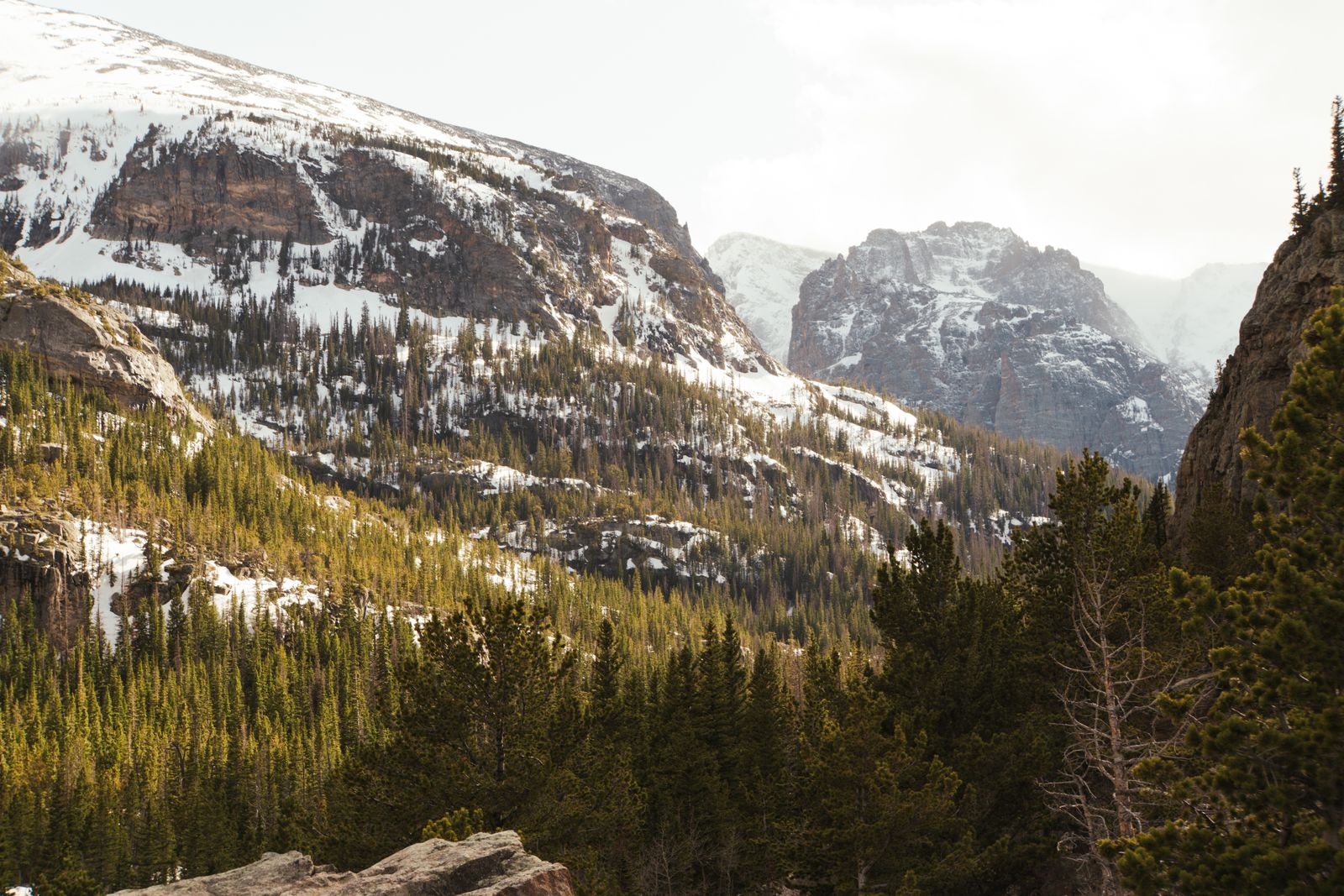 Snow-streaked granite cliffs and conifer forest in the Rocky Mountain National Park backcountry