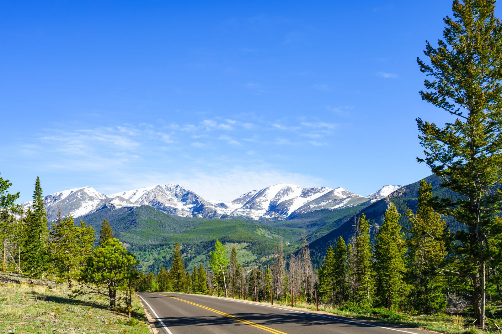 A road through Rocky Mountain National Park, where leashed dogs are allowed
