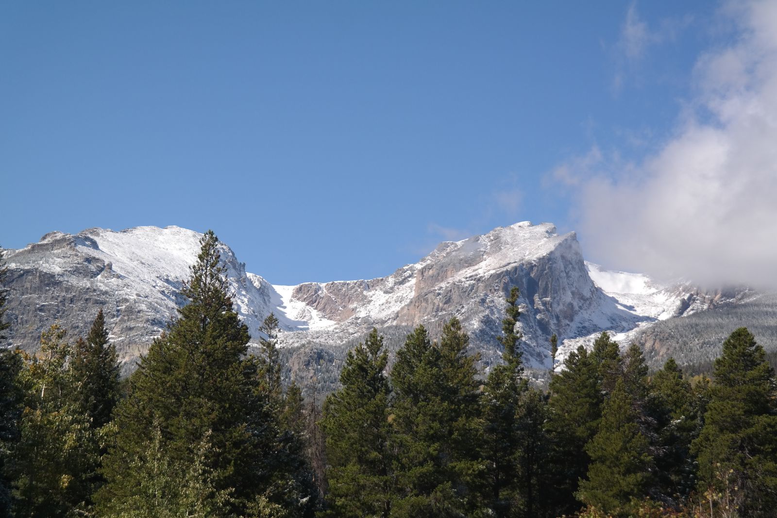 Snow-dusted peaks above the pines in Rocky Mountain National Park, the backdrop for the classic hikes